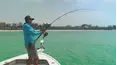 Chasin' the Sun
