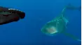 Blue Water Savages