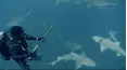 Blue Water Savages