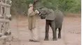 Guardians of the Wild
