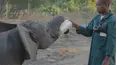 Guardians of the Wild