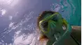 Ocean Parks
