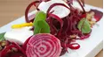 The Urban Vegetarian