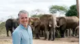 Elephant Family and Me