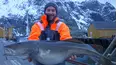Hunting Fish