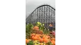 Science of Thrills