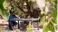 My Greek Table With Diane Kochilas