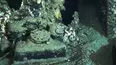 Underwater Wonders of the National Parks