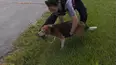 Live PD Presents: Women on Patrol