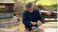 Steven Raichlen's Project Fire