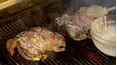 Steven Raichlen's Project Fire