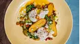Fresh Market Dinners
