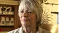 Celebrity Antiques Road Trip