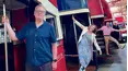 Celebrity Antiques Road Trip