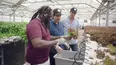 T-Pain's School of Business
