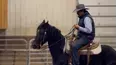 Ultimate Cowboy Showdown