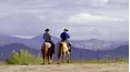 Ultimate Cowboy Showdown
