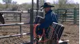 Ultimate Cowboy Showdown