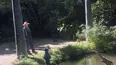 Monty Don's American Gardens