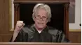 Gary Busey, Pet Judge