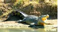 Secretos de la Australia Salvaje