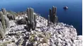 The Desert Sea