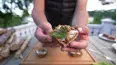 Eat Like