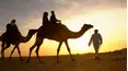 Turning Points in Middle Eastern History