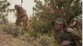 Into the Wild Frontier