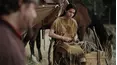 Into the Wild Frontier