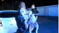 On Patrol: Live