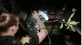 On Patrol: Live