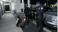 On Patrol: Live