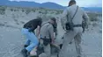 On Patrol: Live