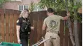 On Patrol: Live