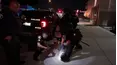 On Patrol: Live