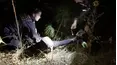 On Patrol: Live