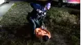 On Patrol: Live