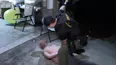 On Patrol: Live