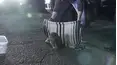 On Patrol: Live