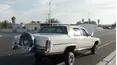 On Patrol: Live
