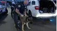 On Patrol: Live