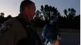 On Patrol: Live