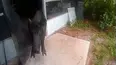 On Patrol: Live