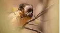 Nuevos niños en la naturaleza