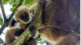 Nuevos niños en la naturaleza