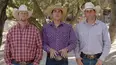 The Cowboy Way