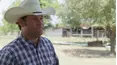 The Cowboy Way