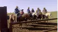 The Cowboy Way