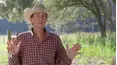 The Cowboy Way